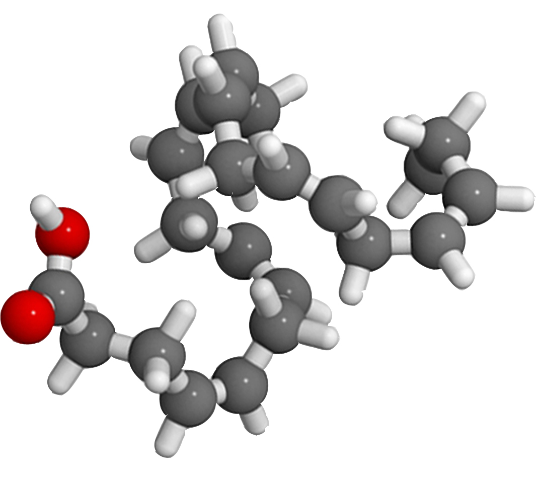 omega-3-molecule DHA EPA