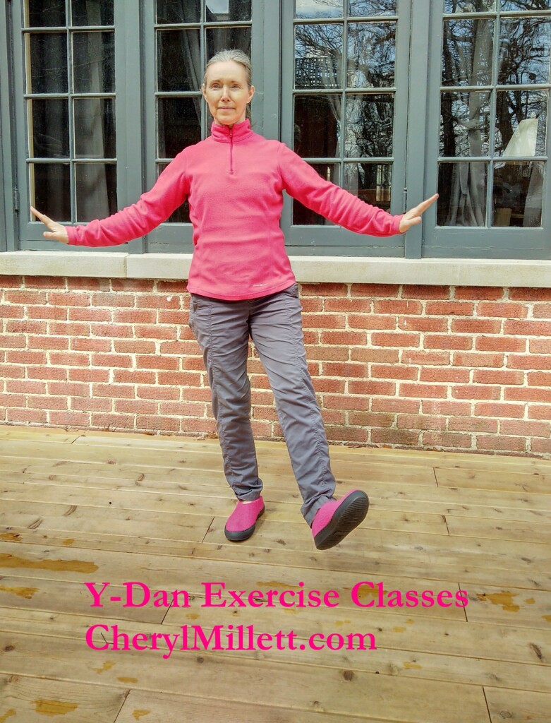 Y-Dan Exercise Wai Tan Kung Cheryl Millett