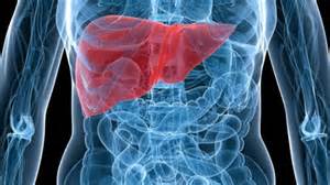Love Your Liver Gallbladder stones Nutritional Cleansing