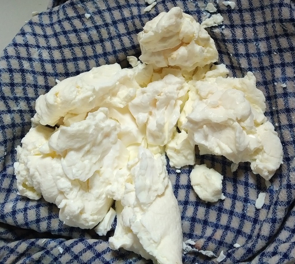 Curds from making whey
