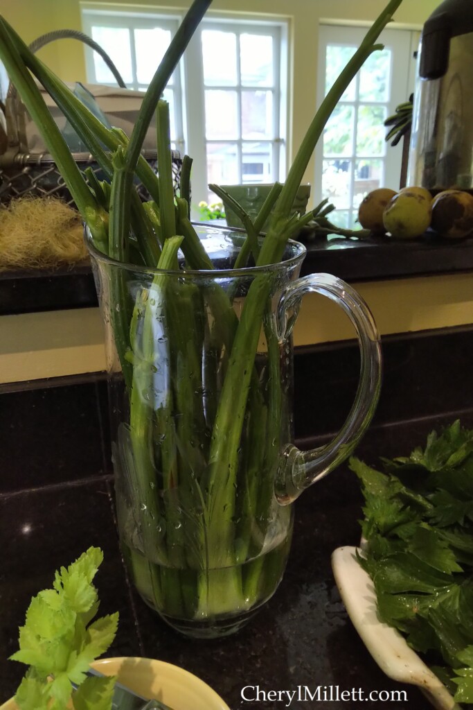 celery-stalks