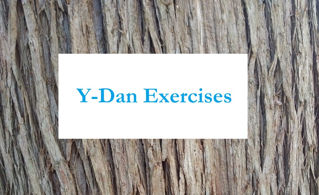 Y-Dan Waitankung Simple Exercises