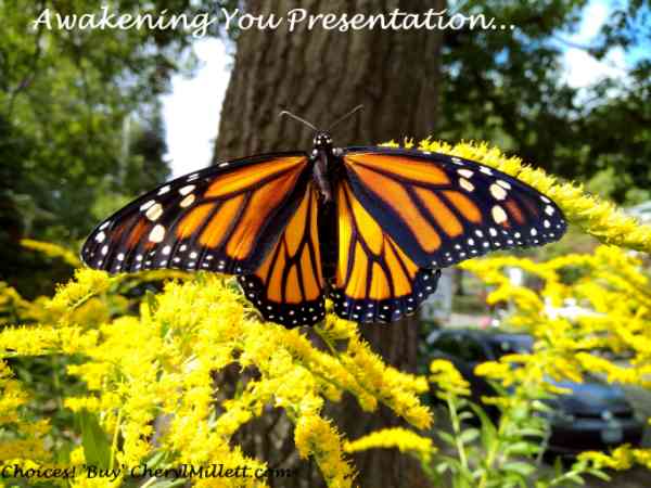 Awakening You Presentation Cheryl-Millett Monarch Butterfly