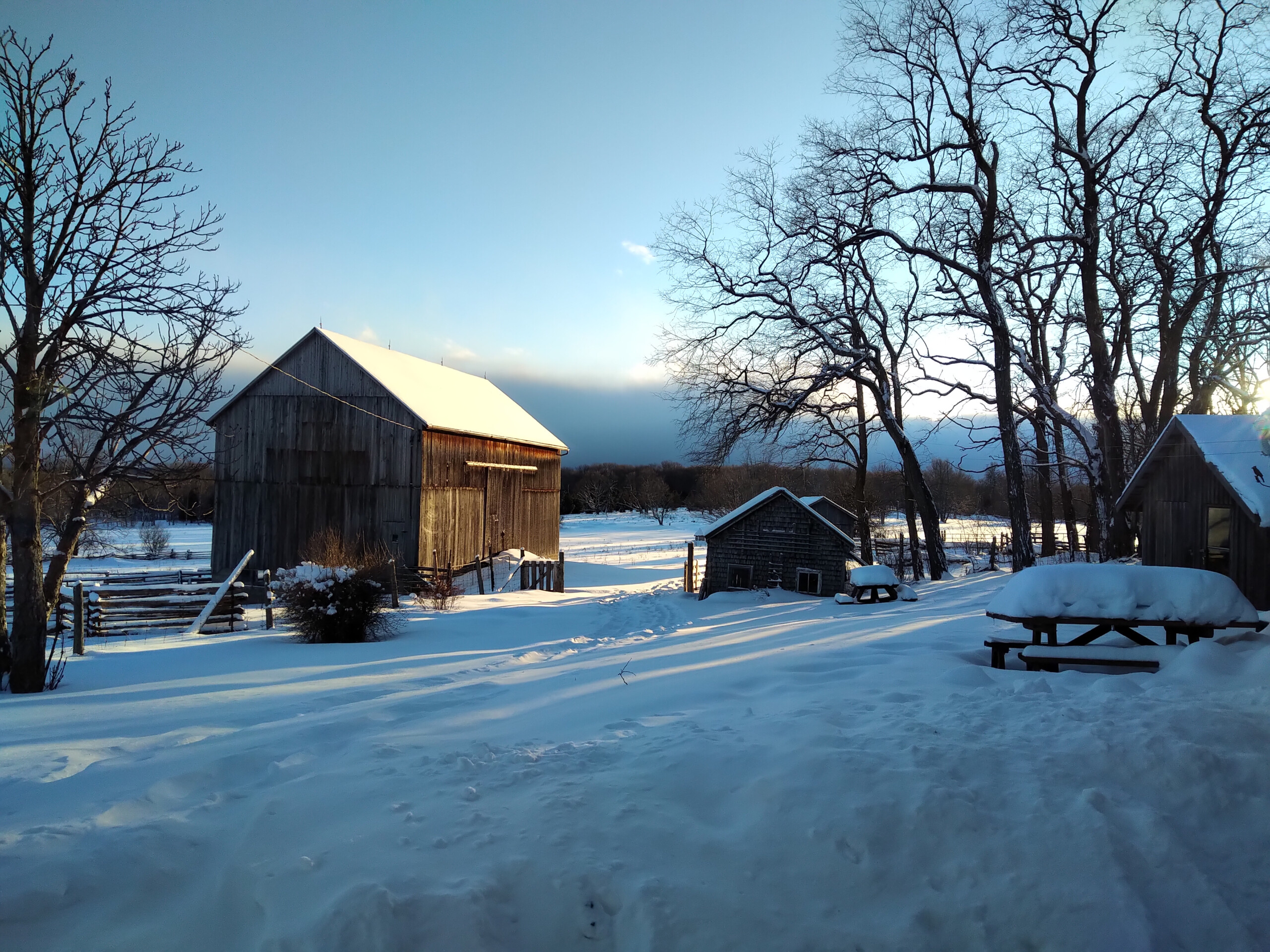 Manitoulin Island Farm