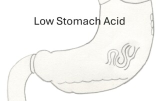 Low Stomach Acid