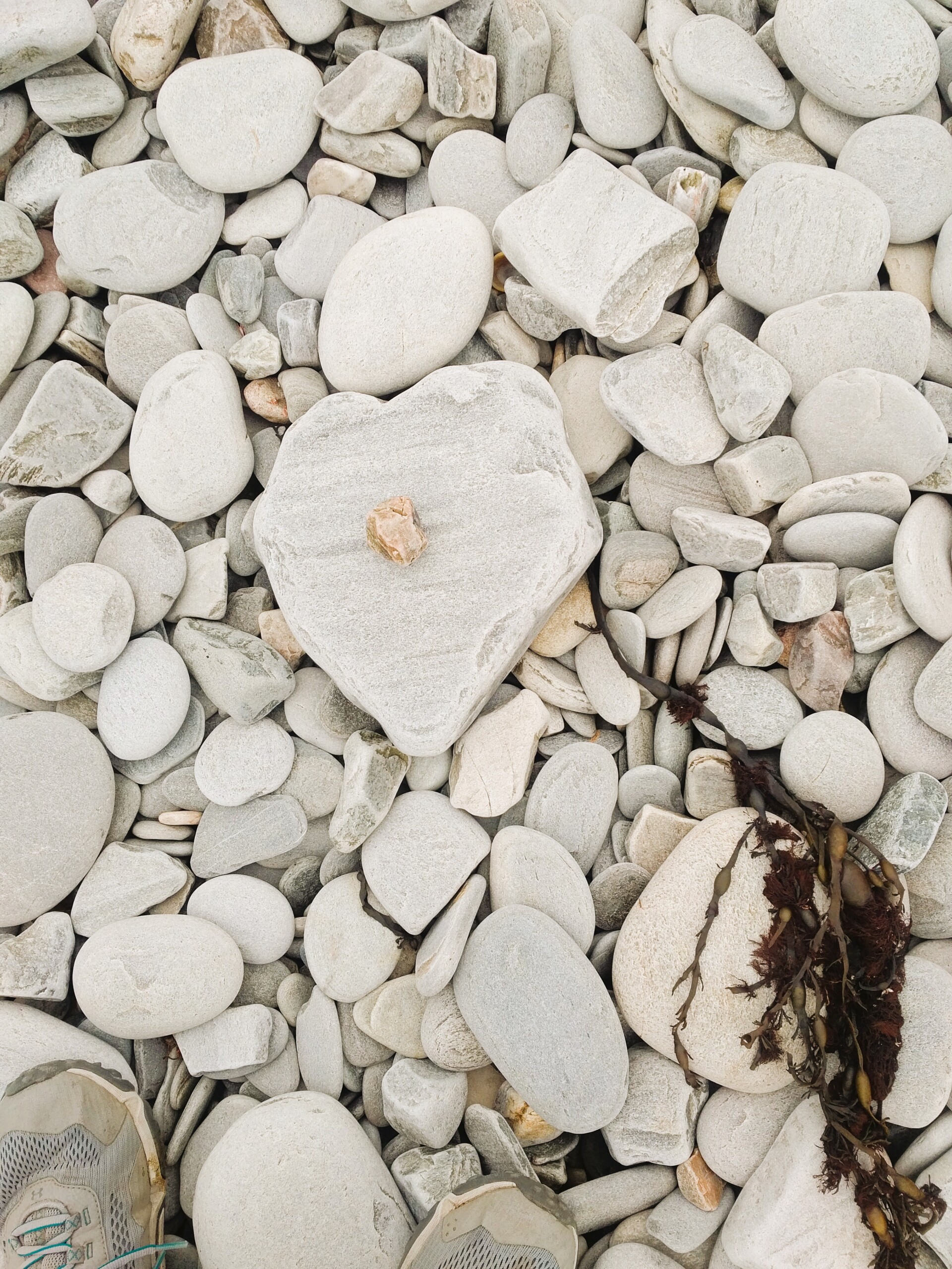 Health Body Mind Spirit