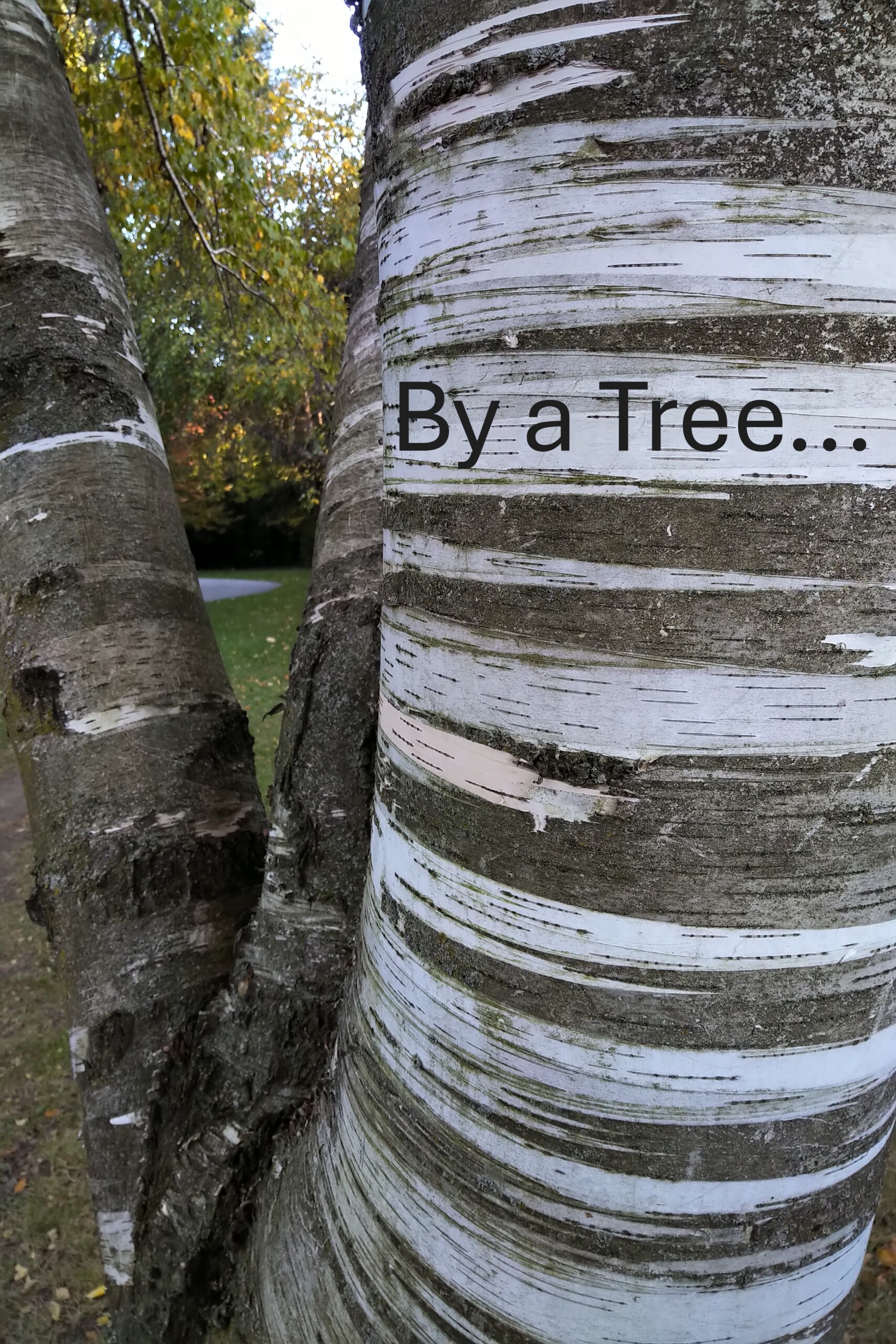 Take Your Pee Outside by a tree Cheryl Millett