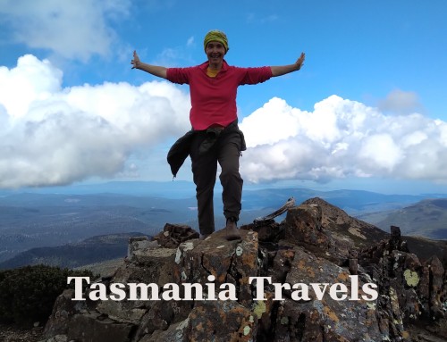Tasmania Travels