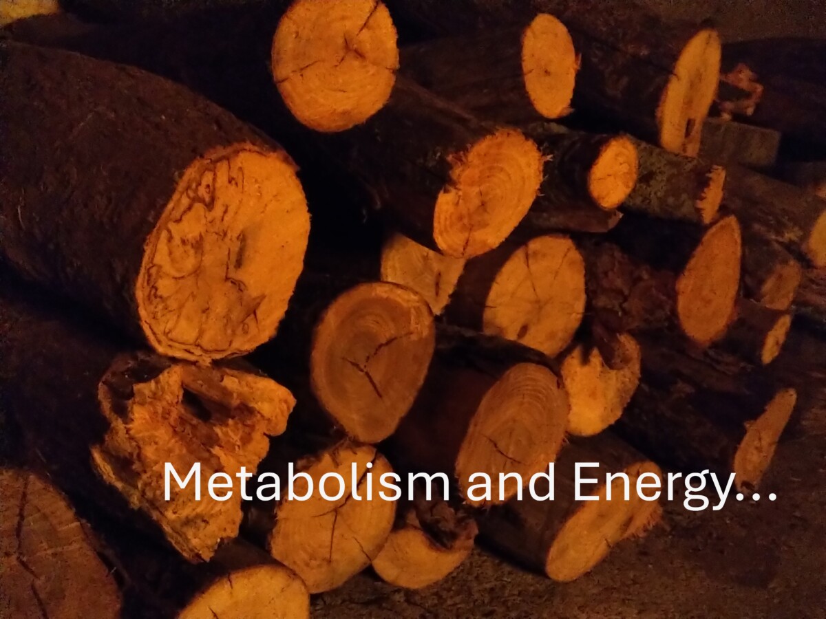 Menopause-teachings-cheryl-millett-photo2