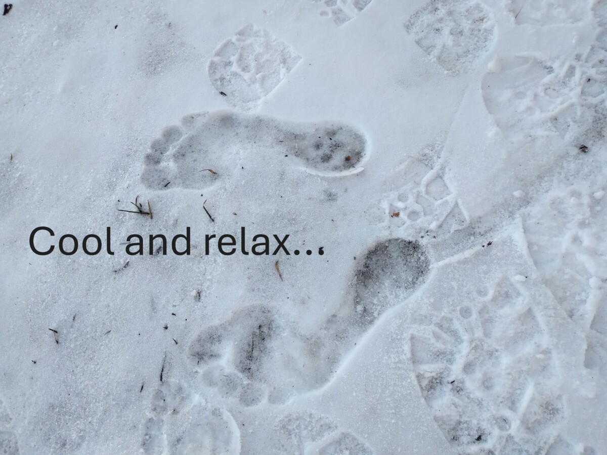 Menopause-teachings-cheryl-millett-photo4