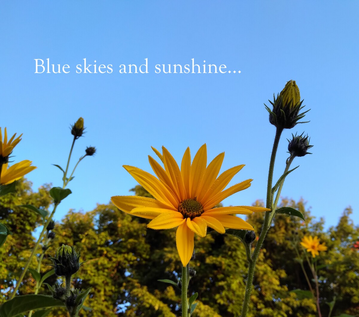 power of the mind blue skies