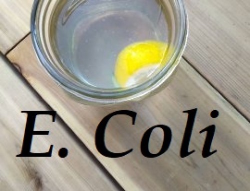 E. Coli