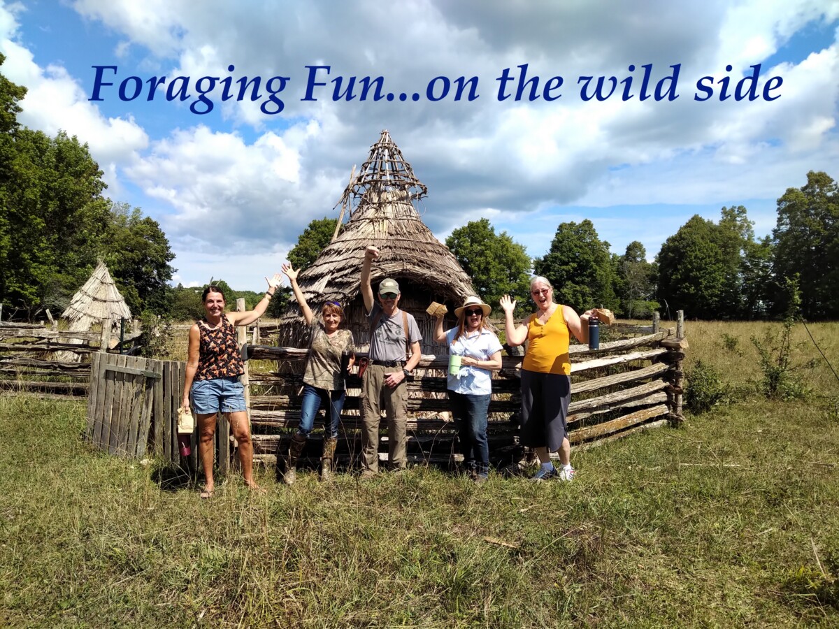 Foraging Fun Cheryl Millett