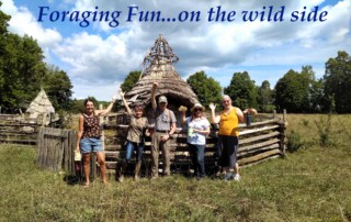 Foraging Fun Cheryl Millett