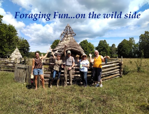 Foraging Fun