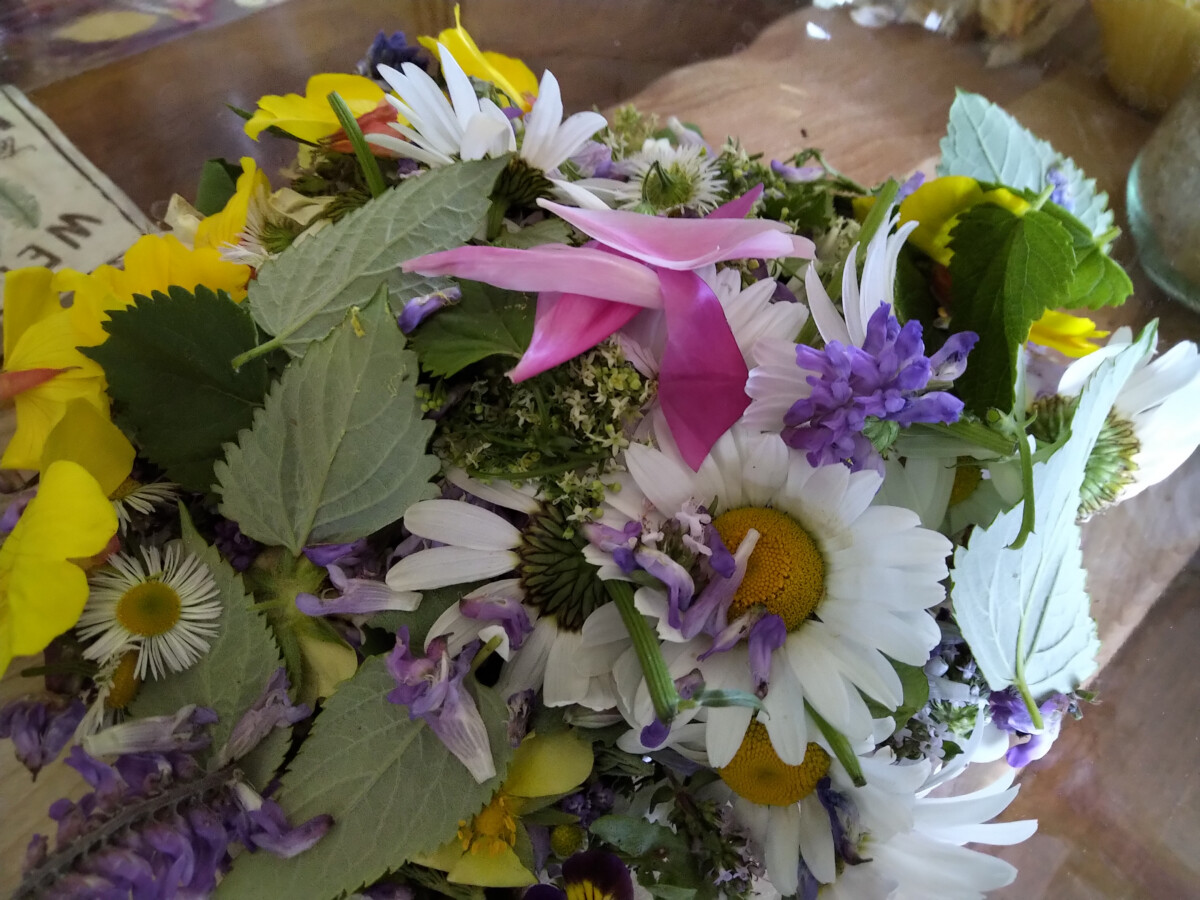 Foraging Fun class made a flower salad